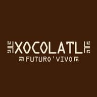 Xocolatl-futurovivo.com